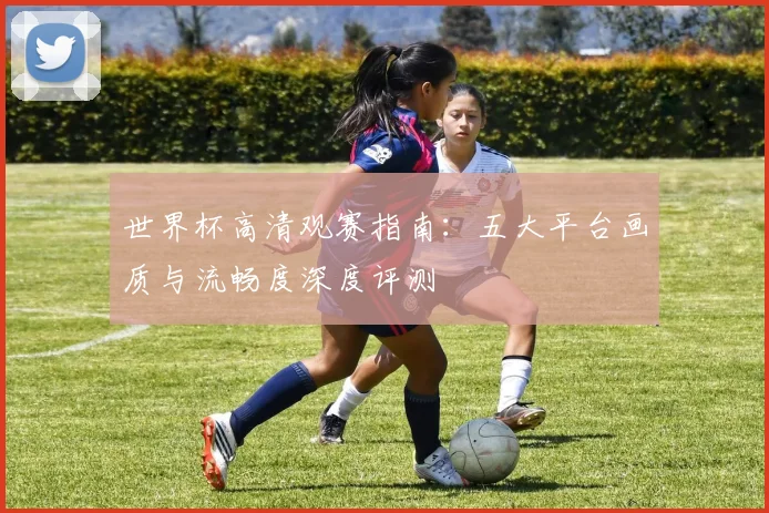 世界杯高清观赛指南：五大平台画质与流畅度深度评测