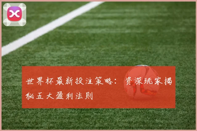 世界杯最新投注策略：资深玩家揭秘五大盈利法则