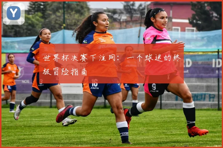 世界杯决赛下注网：一个球迷的终极冒险指南