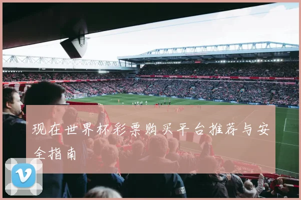 现在世界杯彩票购买平台推荐与安全指南