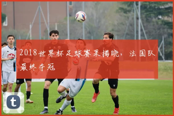2018世界杯足球赛果揭晓，法国队最终夺冠