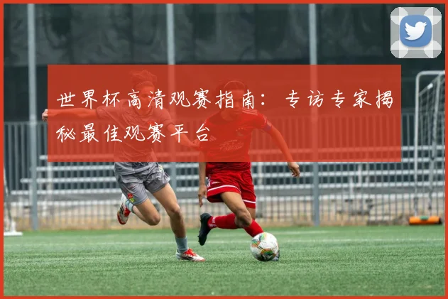 世界杯高清观赛指南：专访专家揭秘最佳观赛平台
