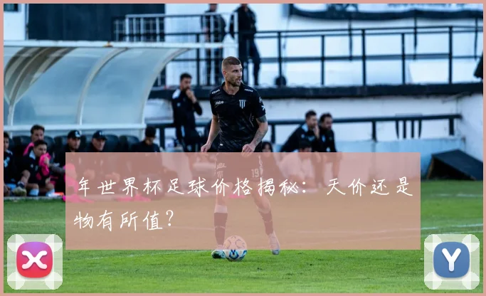 年世界杯足球价格揭秘：天价还是物有所值？