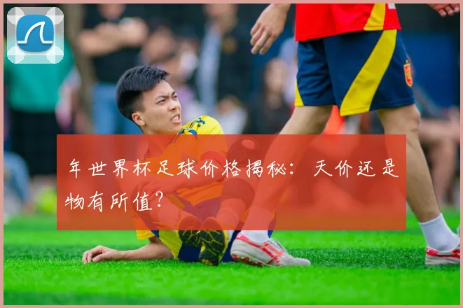 年世界杯足球价格揭秘：天价还是物有所值？