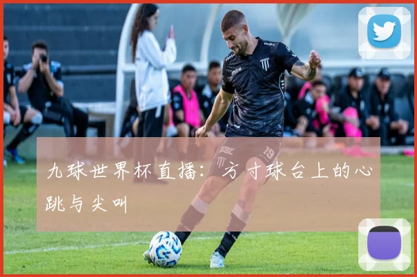 九球世界杯直播：方寸球台上的心跳与尖叫