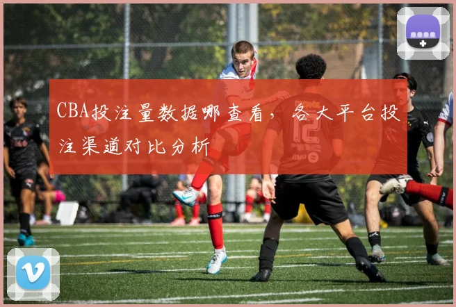 CBA投注量数据哪查看,各大平台投注渠道对比分析