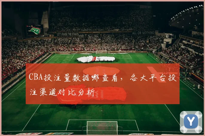 CBA投注量数据哪查看,各大平台投注渠道对比分析