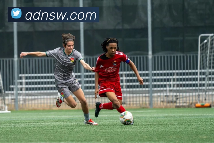 华体会app品牌故事